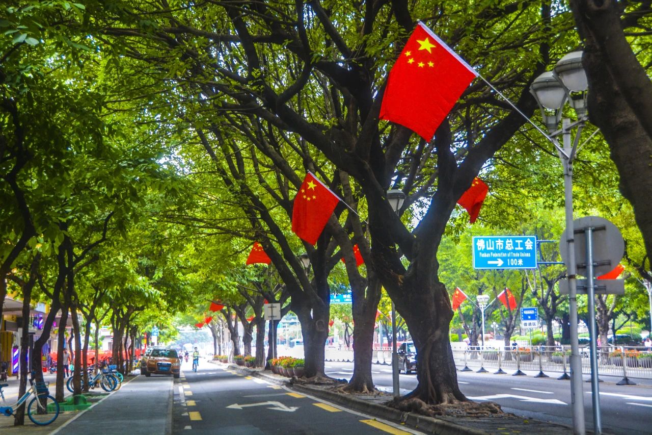汾江南路两旁，国旗与行道树相间，绿中一抹红。