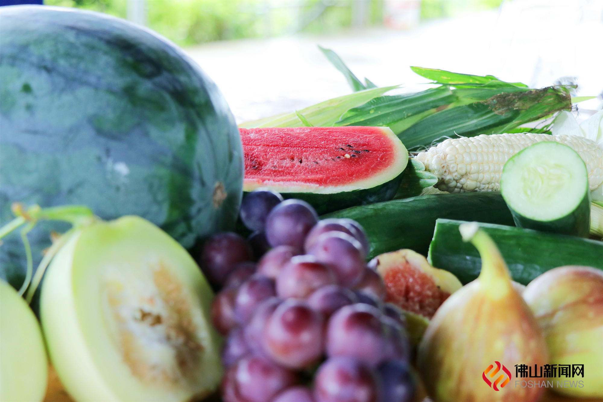 天气闷热，吃水果正当时。位于南海丹灶的禾盛隆生态园，300多亩的田地里多款时令水果相继成熟。