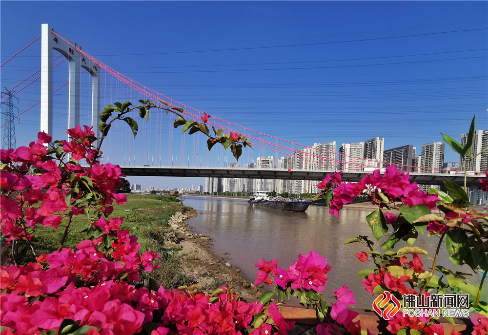迎着暖暖的春风，一起欣赏这难得的好天气呀，在平胜大桥河畔蓝天与红花交相辉映，好似一幅春日油彩画，王青山摄。