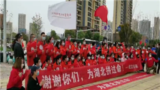 佛山医疗队回家