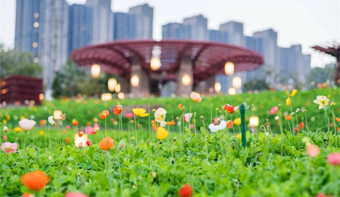 13.webp (1)_副本.jpg