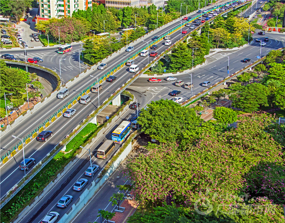 绿满江湾立交 作者：卢展途 拍摄地点：江湾立交。