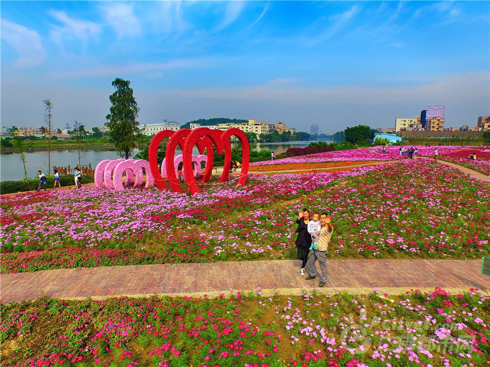 花海流潮梦水乡 作者：方智恒
