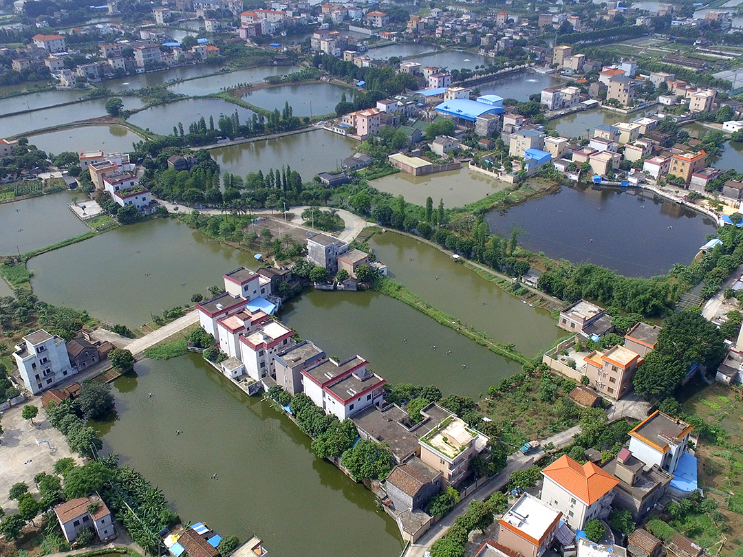 南沙岛四面环江，村舍错落有致，鱼塘星罗棋布。。(龙上淳摄）