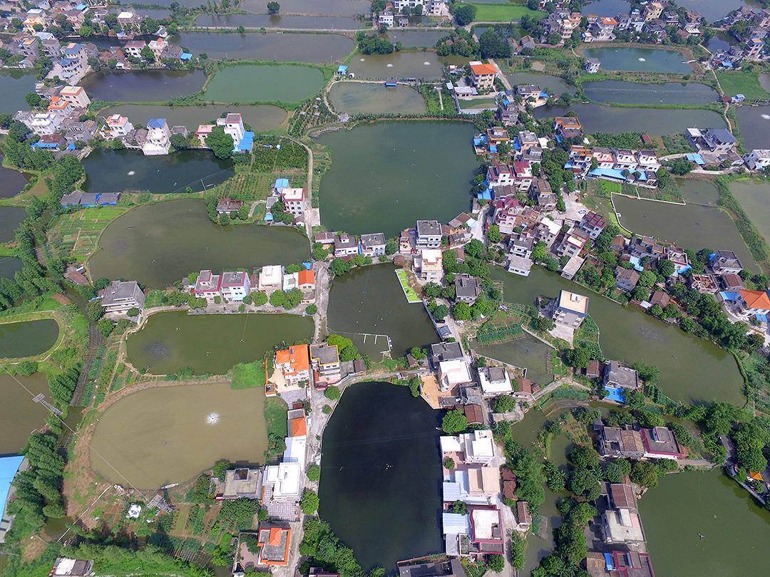 南沙岛四面环江，村舍错落有致，鱼塘星罗棋布。。(龙上淳摄）