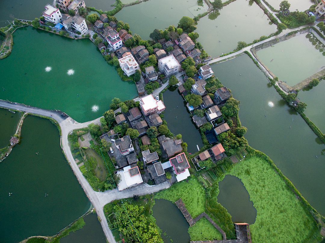 很难想像，在一个中国制造业的大市，还有着这样纯朴自然的水乡田园。广佛都市网航拍工作室出品  摄影：龙上淳