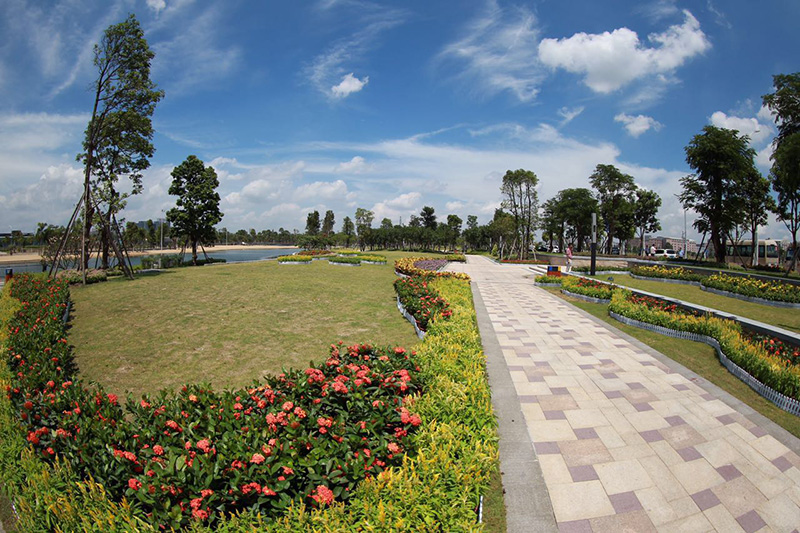 今天，佛山人的朋友圈纷纷晒出五区各地的蓝天白云，直呼太漂亮了！图为顺德乐从的北围新型都市产业园。摄影：佛山日报社记者周春