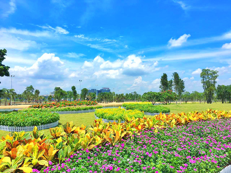近年来，随着佛山生态环境不断地改善提高，在佛山随手一拍就能得到一幅夏日美景图。图为伦教滨江公园。摄影：佛山日报社记者周春