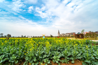 “生态佛山，绿色生活”环保摄影作品评选 吴剑摄影 美的麓湖，美的佛山.jpg