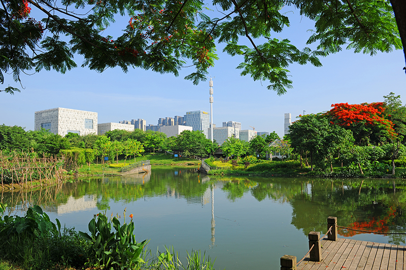 佛山公园。（作者：邓秩平，本图为“生态佛山，绿色生活”环保摄影作品评选获奖作品）
