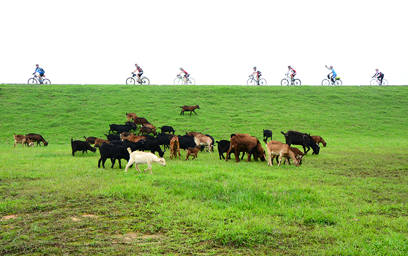 三水北江大提。（作者：黄晓华，本图为“生态佛山，绿色生活”环保摄影作品评选获奖作品）