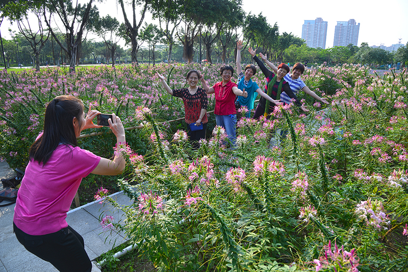 花丛中合影的市民。（作者： 赖晓优，本图为“生态佛山，绿色生活”环保摄影作品评选获奖作品）