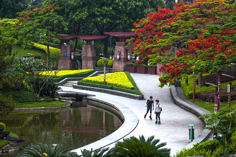 千灯湖一角。（作者：梁剑雄，本图为“生态佛山，绿色生活”环保摄影作品评选获奖作品）