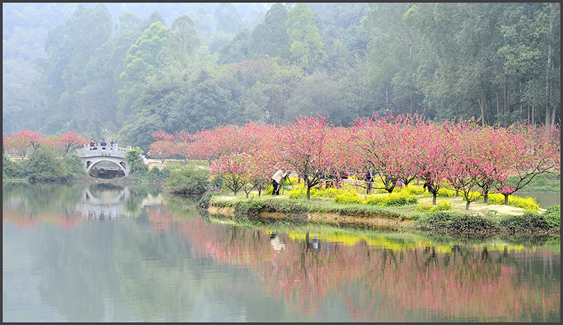 2014”我们的节日新春图片征集“优胜奖 浪滔天摄影