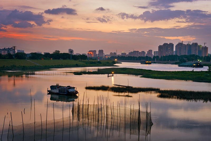市升级办影像大赛2012年 特等奖【见证佛山蝶变】东平河夜色 山歌摄影 2012年6月18日摄于东平河花卉世界河段