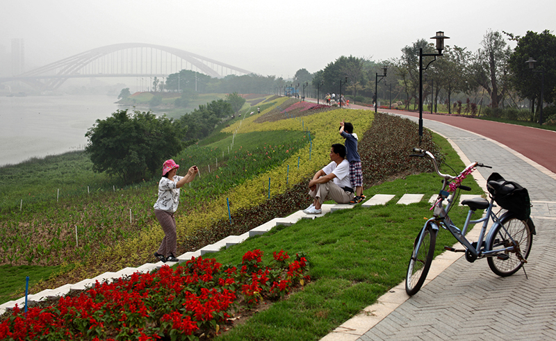 市升级办影像大赛2012年 优胜奖 【见证佛山蝶变】--美景留影--光射影