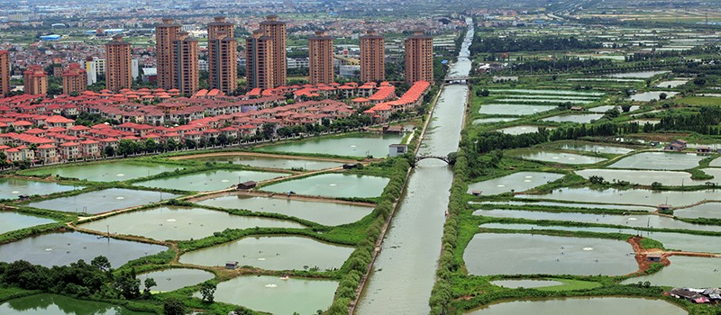市升级办影像大赛2012年 优胜奖 见证三年蝶变——《今日水乡》小小斐
