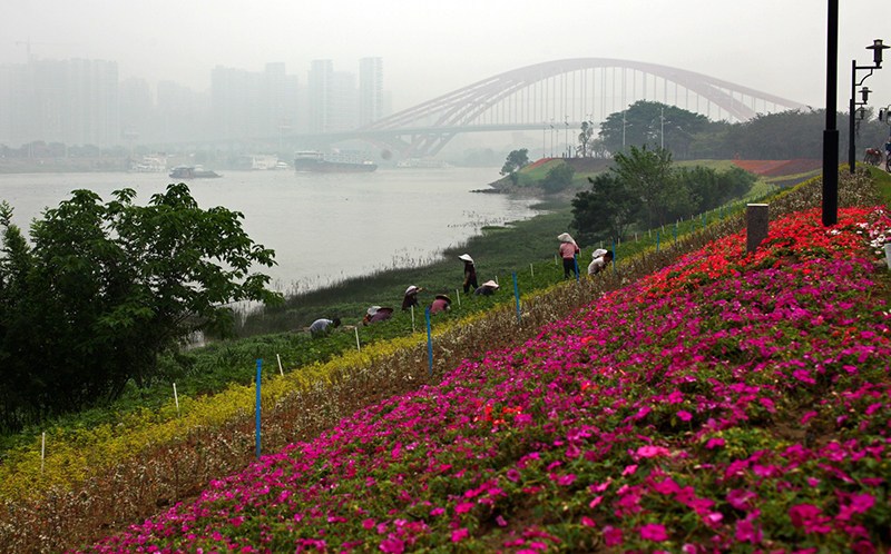 市升级办影像大赛2012年 优胜奖【见证佛山蝶变】--辛勤的园丁--光射影