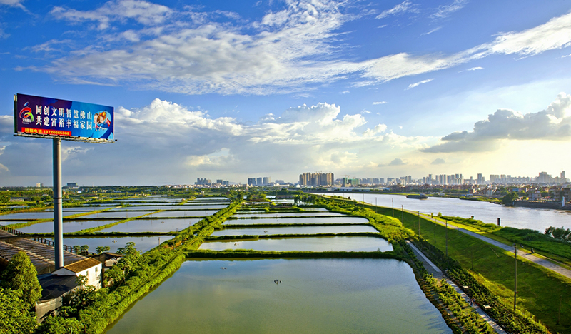 市升级办影像大赛2012年特等奖【见证佛山蝶变】水乡新貌（山歌）2012年7月1日摄于平胜大桥东平河南岸