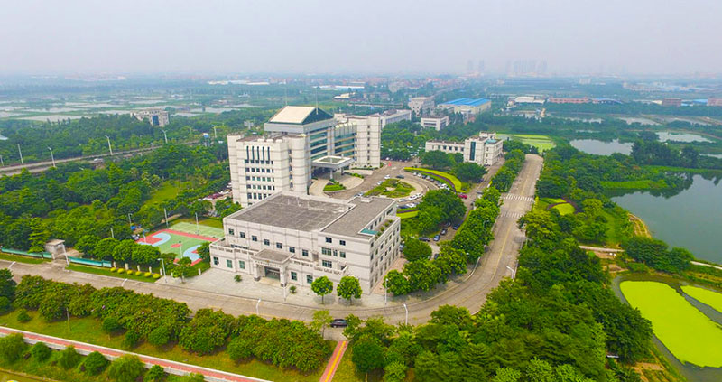 狮山、大沥、北滘等佛山强镇，镇政府都是被一群写字楼、工厂、楼盘、城中村簇拥着，而丹灶镇政府的四周，却是大片的农田，具有十足的水乡味道。图为丹灶镇政府航拍。（来源：大粤网）