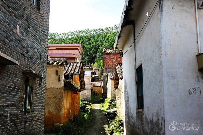 探入云勇林海深处，便来到了犹如世外桃源一般的云勇村。（云勇村小巷 广佛都市网记者张斯特摄于云勇村）