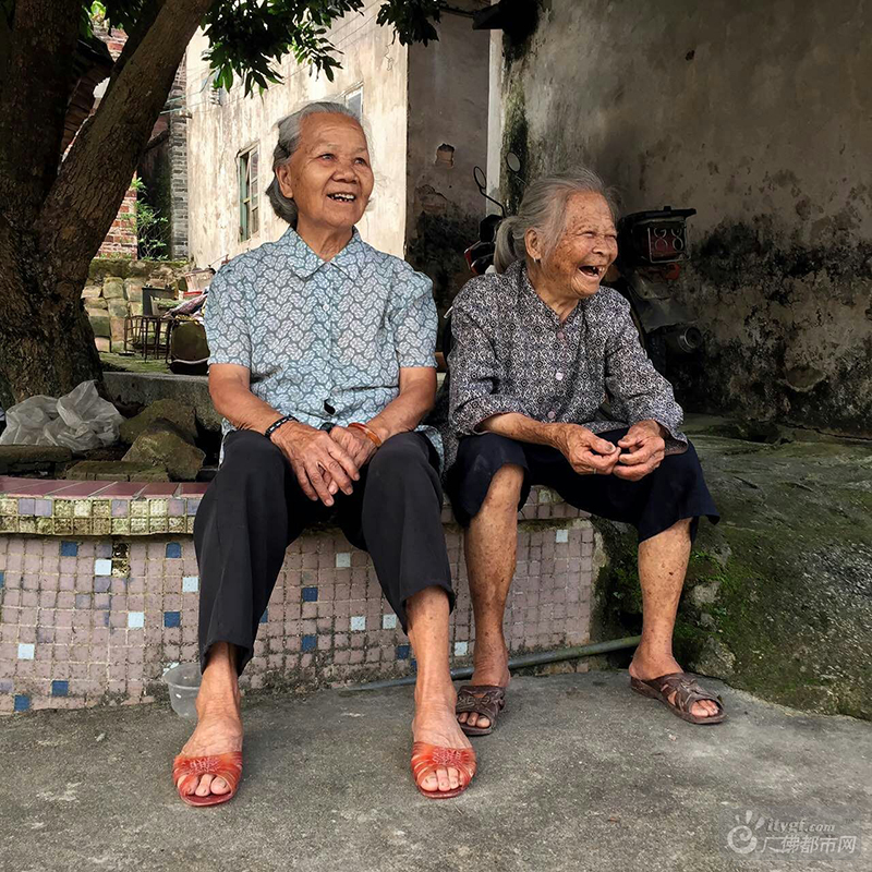 云勇村的阿婆们在闲聊说笑。这里恬静安谧，时间仿佛在这里都走得慢了。（闲谈的阿婆 广佛都市网记者谭杰才摄于云勇村）