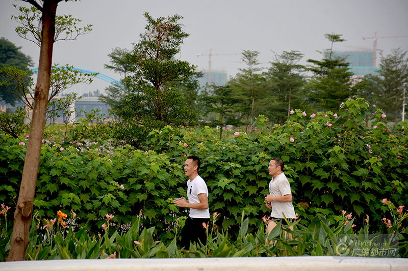 这里没有车水马龙，远离喧嚣，告别繁重的工作，你只需要享受习习暖风，恬静休闲。在公园里跑步健身，既锻炼了身体，又美了眼睛。（网友捕风捉影摄于石湾湿地公园）