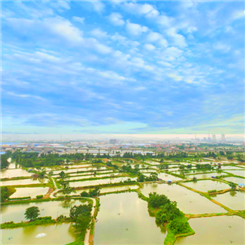 九江烟桥村_副本2.png