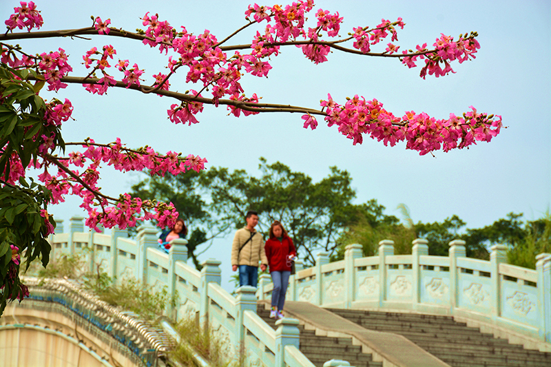 升平桥 DSC_5628.jpg