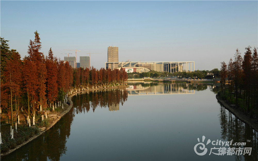 佛山新城秋色浓（摄于佛山公园）作者：FS大热劢