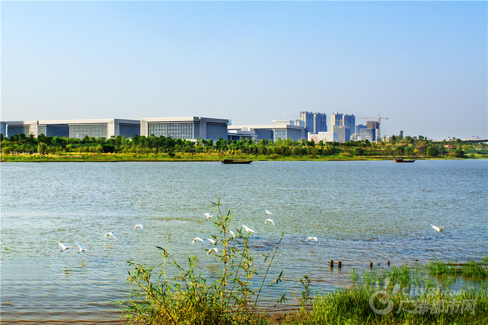 绿色禅城（摄于东平河岸） 作者：山歌