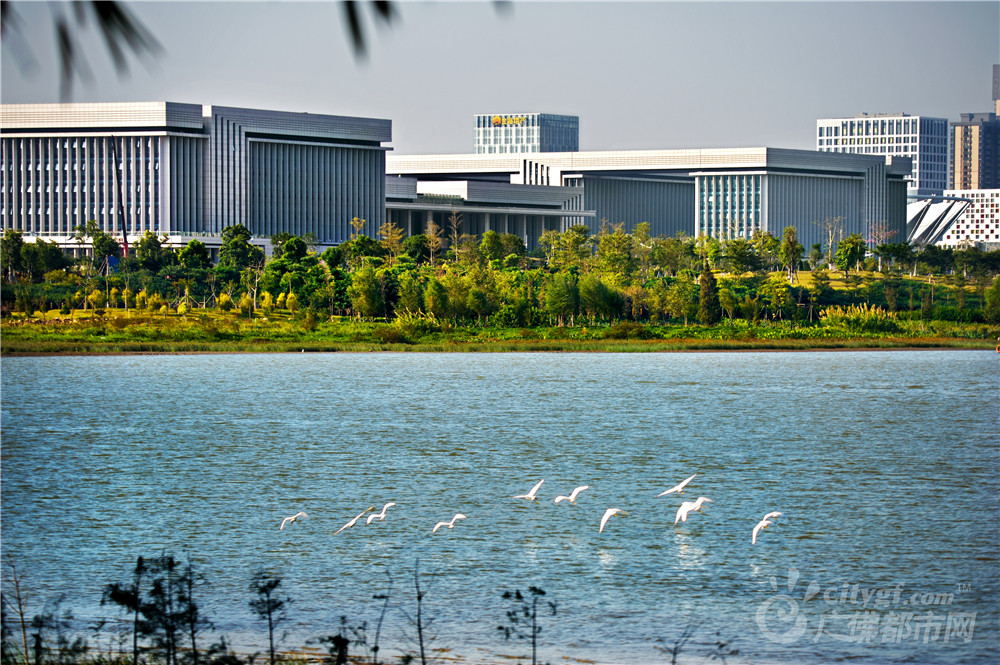 绿色禅城绿色禅城（摄于东平河岸） 作者：山歌