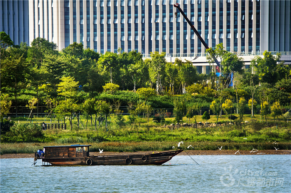 绿色禅城绿色禅城（摄于东平河岸） 作者：山歌