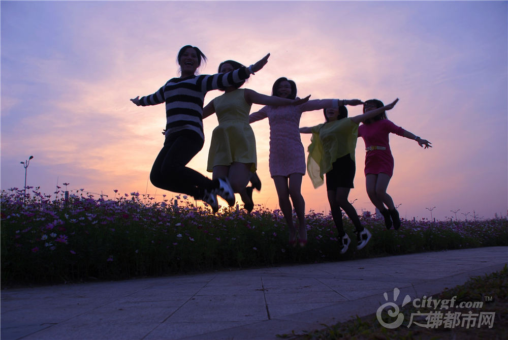 遇见春天，遇见佛山花世界（里水花海）