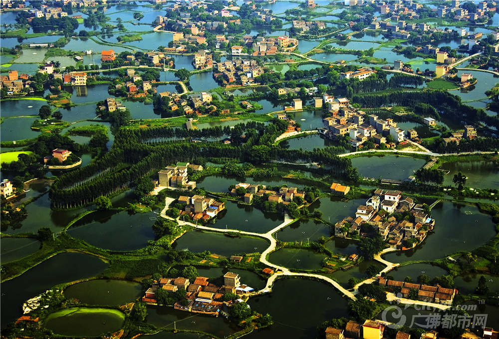 水乡远眺 作者：高波