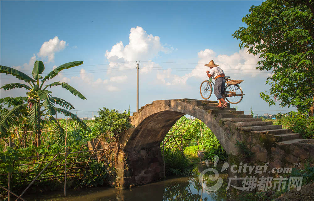 位于顺德勒流镇的龙眼村,蓝天白云,小河古桥.村民忙于耕作农地,极具乡村气息。作者：阮文标