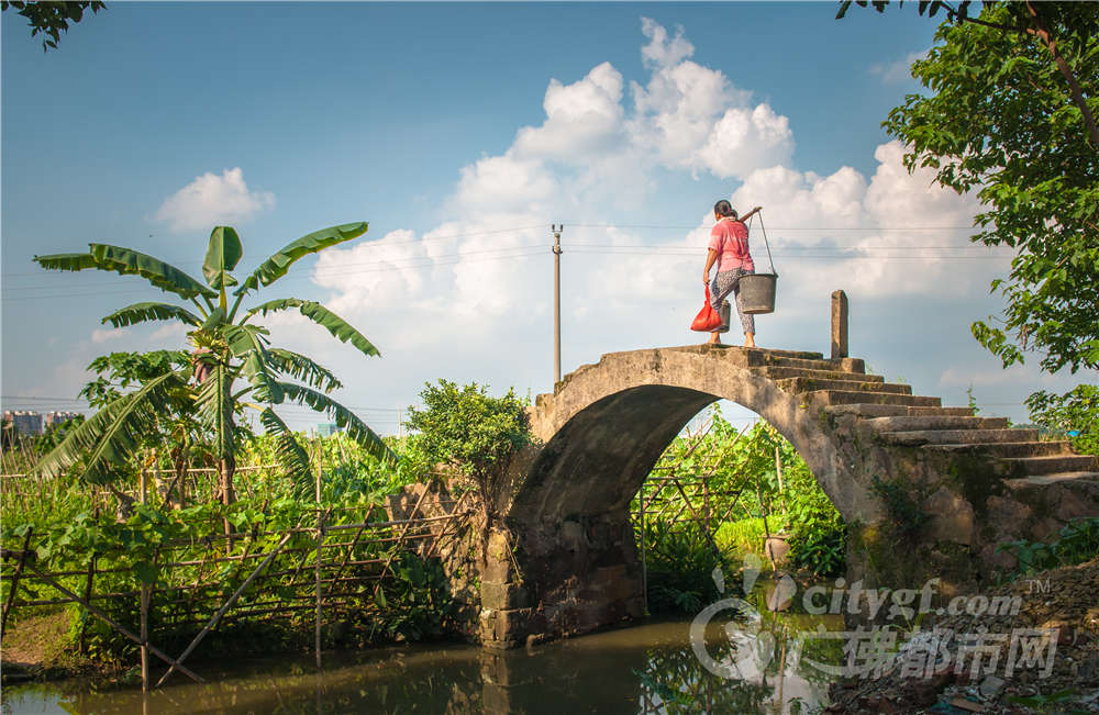 位于顺德勒流镇的龙眼村,蓝天白云,小河古桥.村民忙于耕作农地,极具乡村气息。作者：阮文标