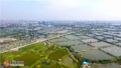 航拍杏坛镇西登村