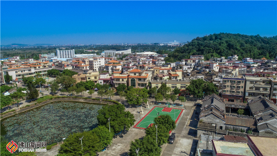 拍摄地点：均安镇南浦村；拍摄场景：天祖荷花池；拍摄时间：2018年10月31日；拍摄人：陈憧炜