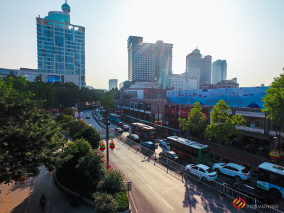 岭南天地创森 2017.3.16 (29)