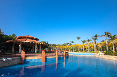 南海丹灶风铃木